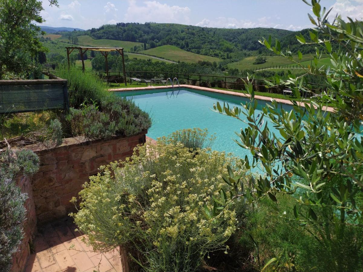 Antonella House -Podere Della Collina Palaia Zewnętrze zdjęcie