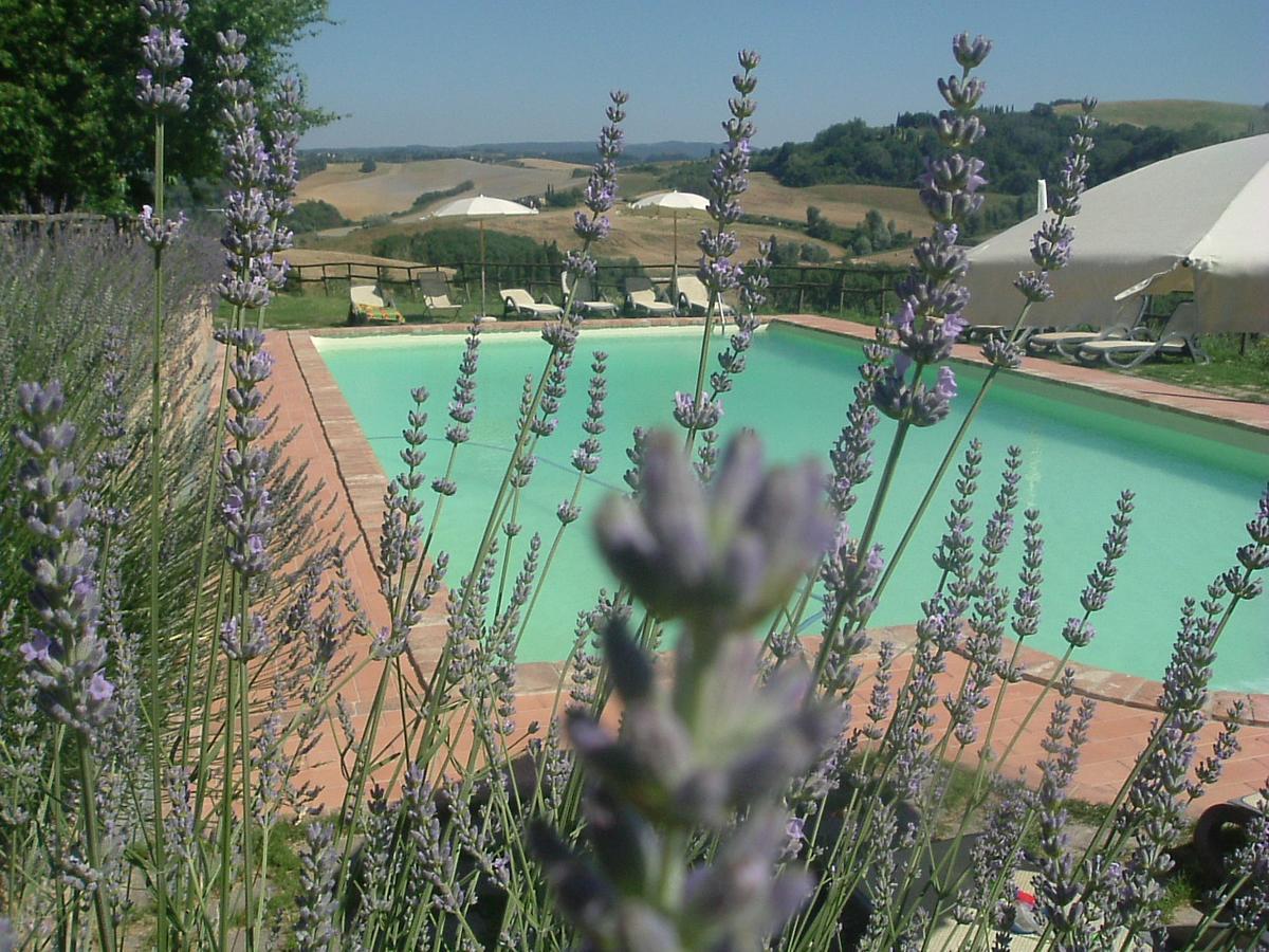 Antonella House -Podere Della Collina Palaia Zewnętrze zdjęcie